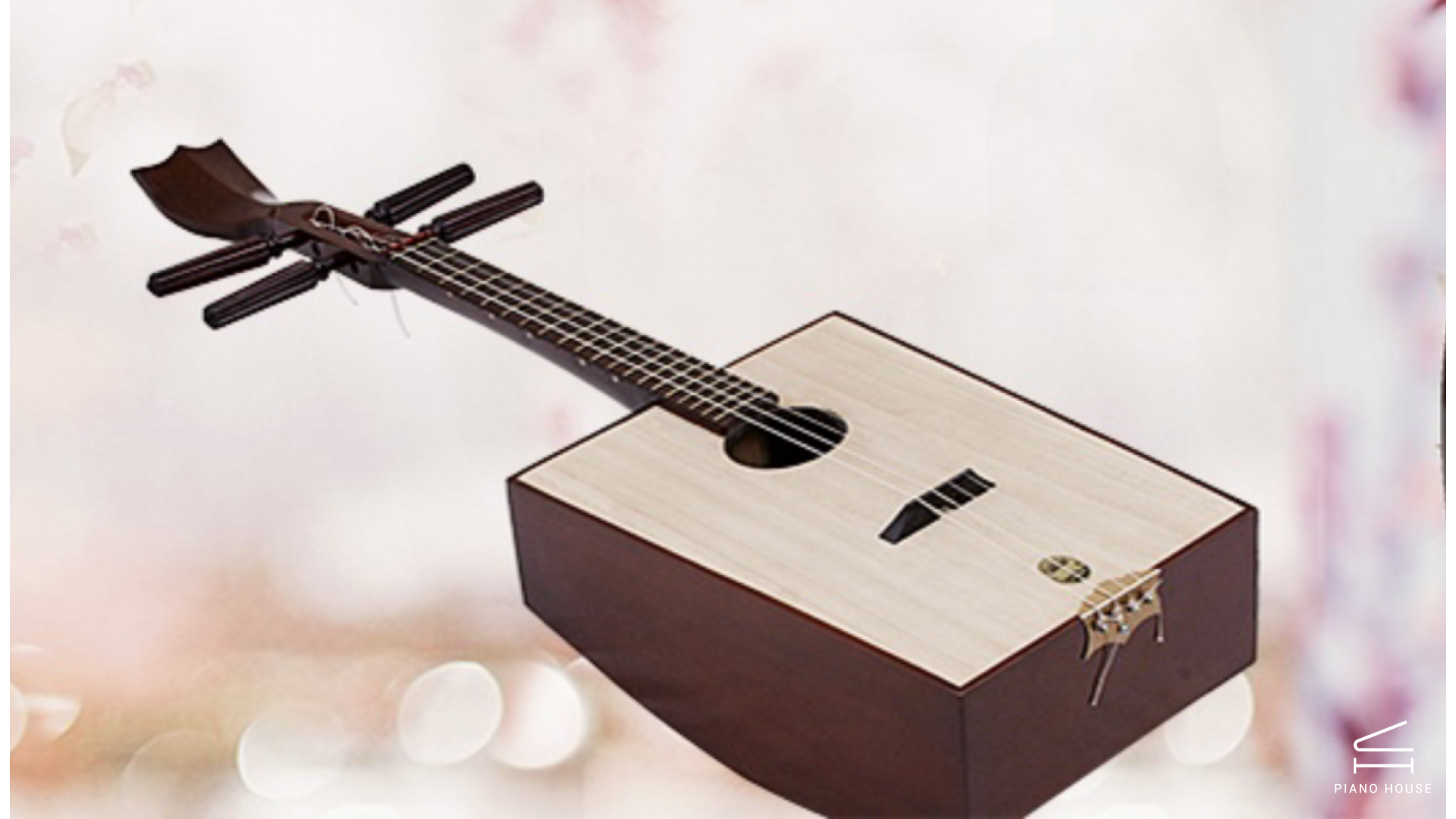 Đàn Tam - Đàn Tứ