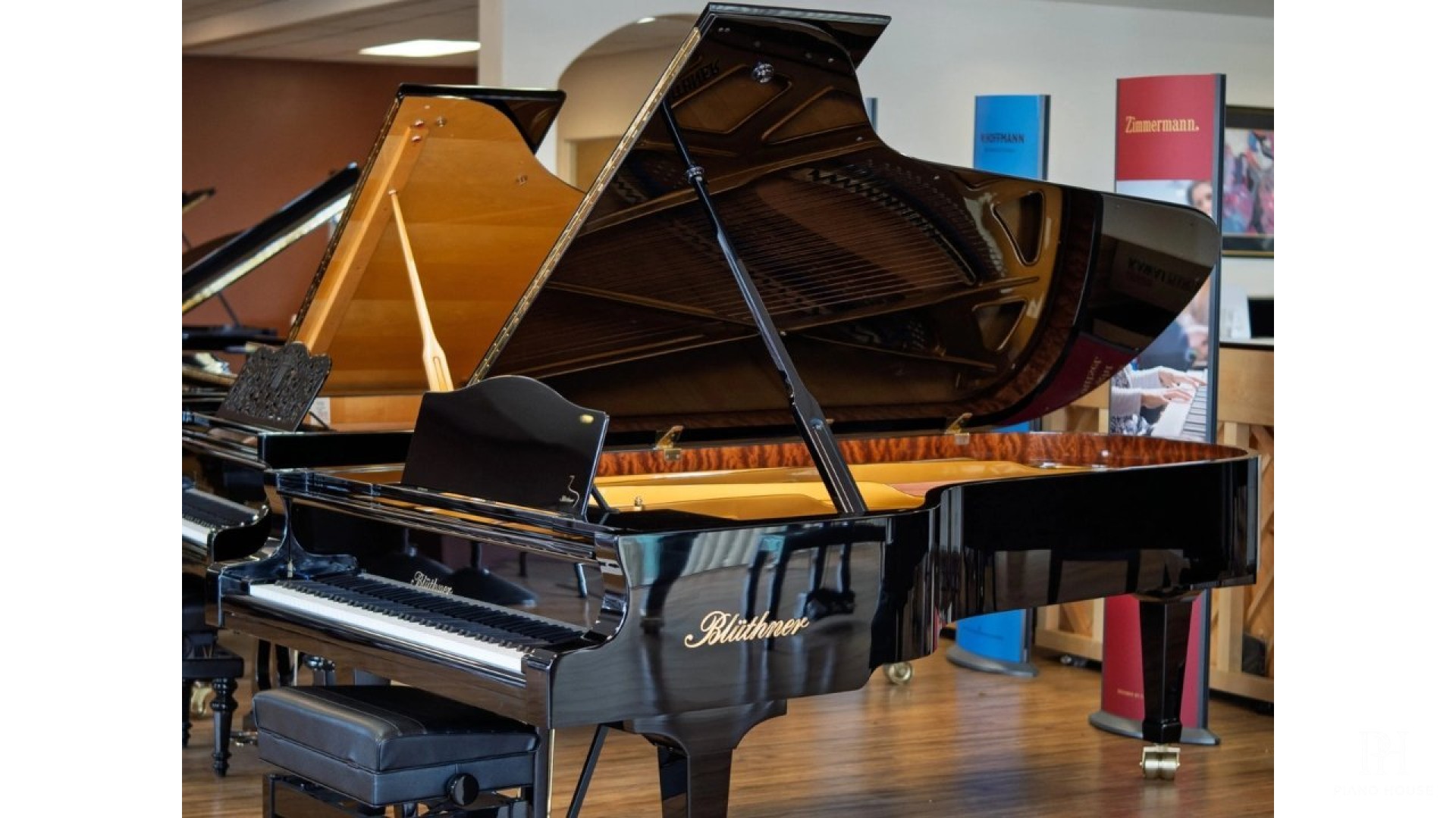 Blüthner Classic Edition