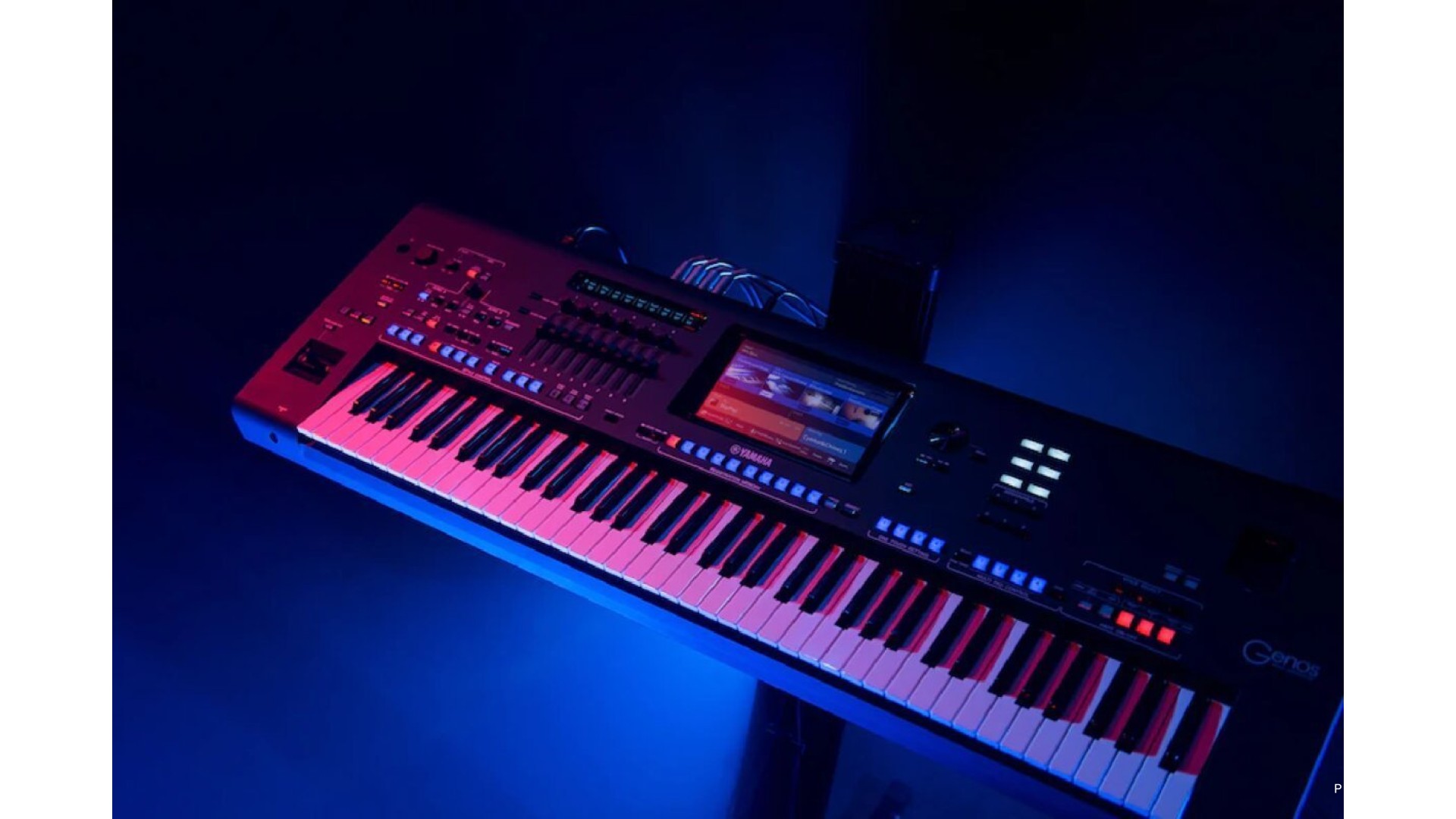 Organ Chuyên Nghiệp