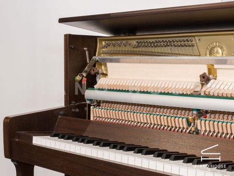 Đánh Giá Yamaha P110