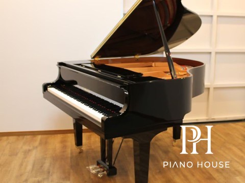 Yamaha A1L 