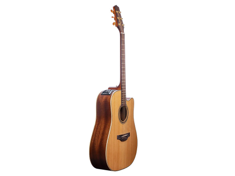 Acoustic Takamine P3DC