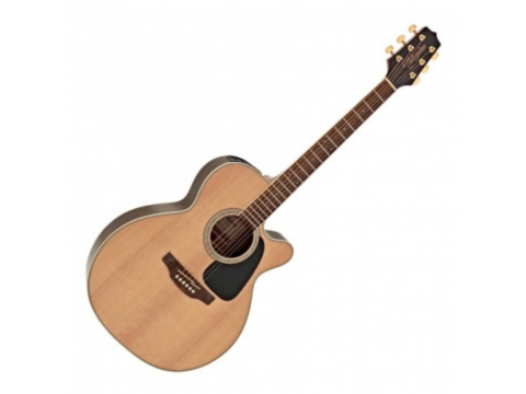 Acoustic Takamine P5DC