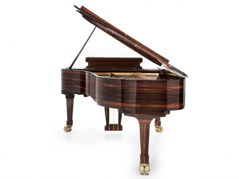 [SPECIAL] FAZIOLI MACASSAR