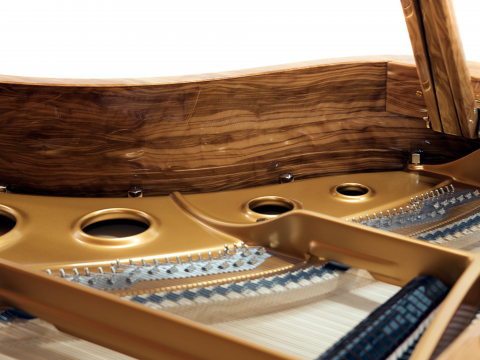 [SPECIAL] FAZIOLI OLIVE