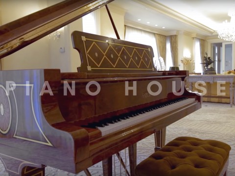 [SPECIAL] FAZIOLI Georgian Red ELM