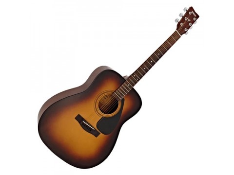 Guitar Acoustic F310P