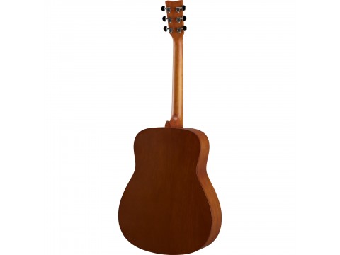 Guitar Acoustic F400