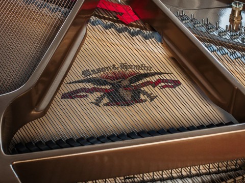 Mason & Hamlin Model B (VX Series) - Medium Grand