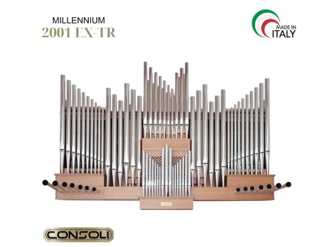 MILLENNIUM 2001 EX-TR