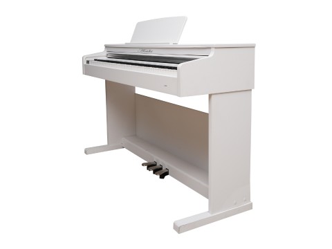 Asahi A201 (White)