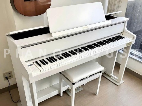 CASIO GP-300 WE (USED)