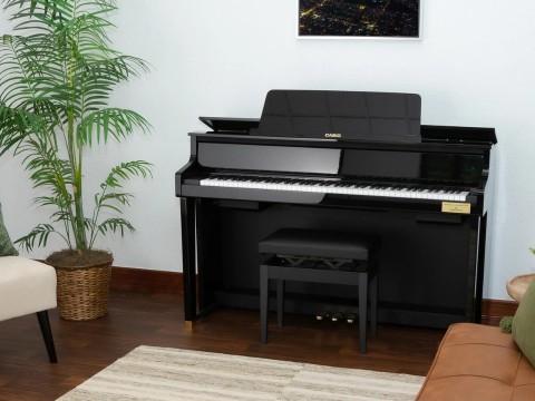 CASIO GP-510