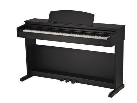Gewa DP510