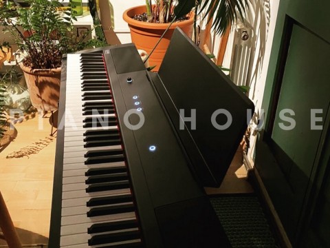 Gewa PP3 (Portable Piano)