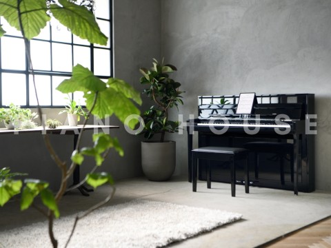 KAWAI Novus NV6