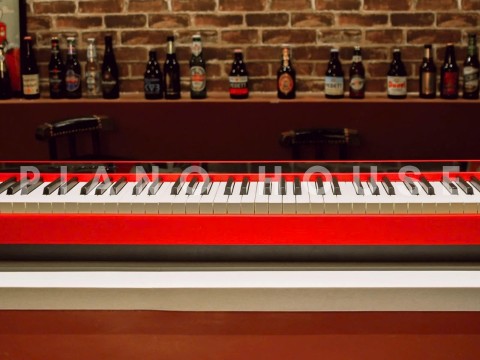 NUX NPK-10 Red (Only Piano)