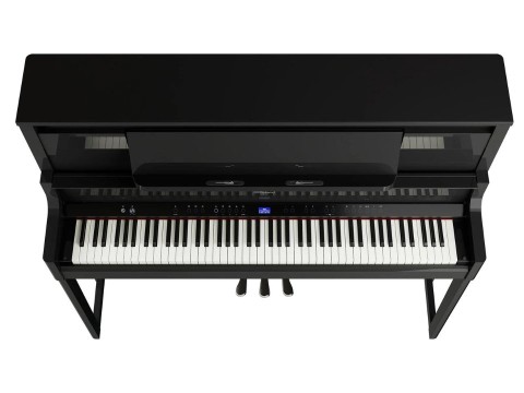 ROLAND LX-9 PE