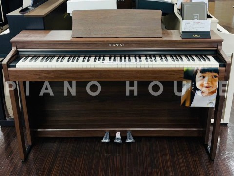 KAWAI CN201 MW