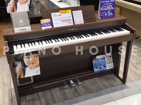 KAWAI CN201 MW