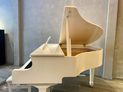 Roland GP-609 PW (USED)