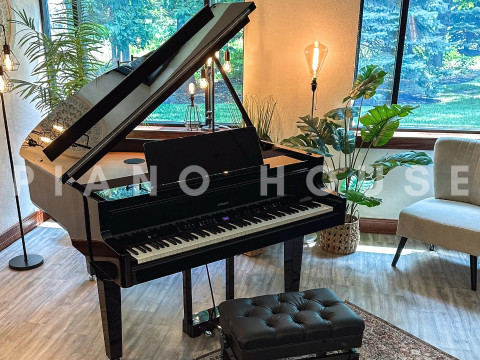 ROLAND GP-9 PE