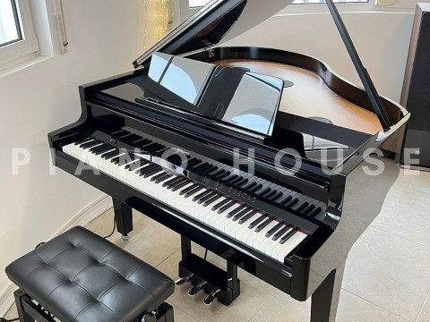 ROLAND GP-9 PE