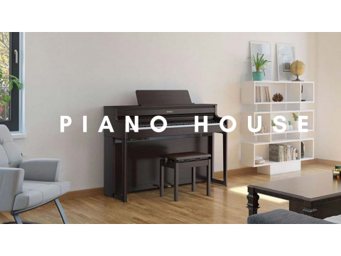 So sánh Piano Digital The ONE (PLAY) và Roland HP-702