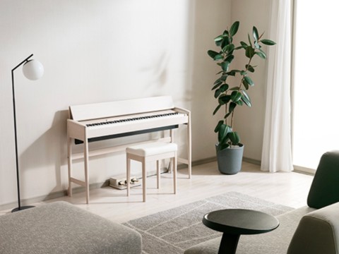 ROLAND Kiyola KF-20 KS