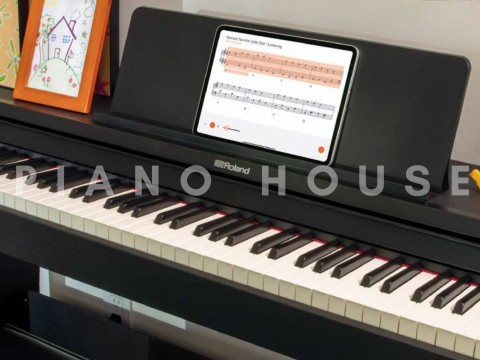 So sánh Piano Digital The ONE (NEX) và Roland RP-107