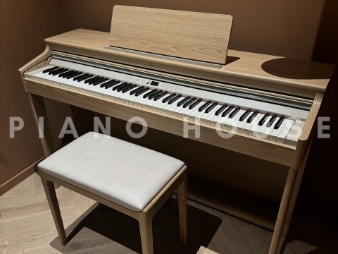 ROLAND RP-701 LO (USED)