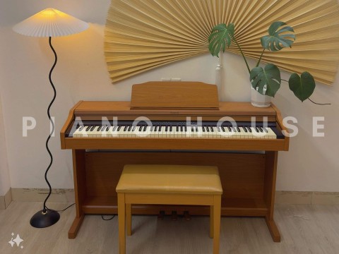 ROLAND RP-401 LW