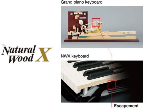Tìm hiểu các công nghệ phím đàn piano điện Yamaha nổi bật