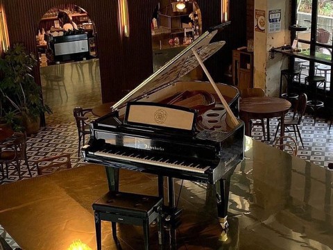 [Collector's Item] CAMELIA