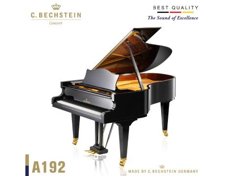 Concert A192 (Polish Ebony)