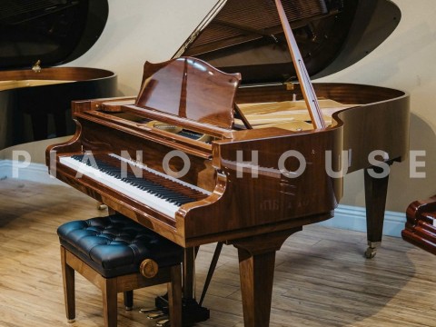 Concert A192 (Polish Walnut)