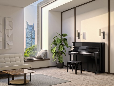 R2 (C.Bechstein Residence)