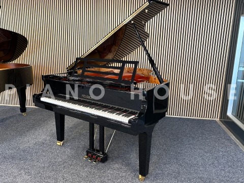 FEURICH 179 & DYNAMIC II (Black Polish & Brass)