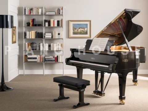 Fazioli F198 - Concert Baby Grand