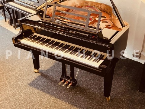 FEURICH 162 - "DYNAMIC I" (Black Polish & Brass)