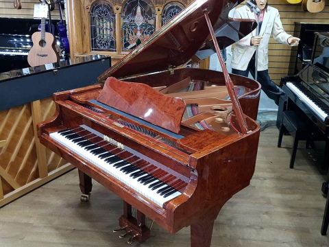 Gebr.Perzina GP186 Bubinga Wood Polyester
