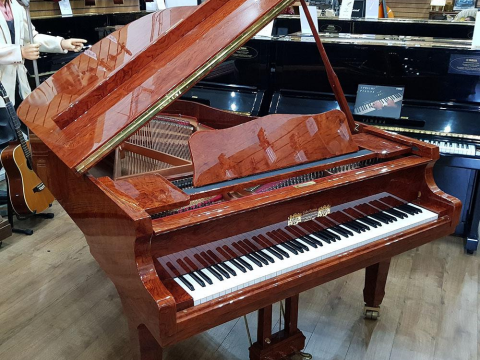 Gebr.Perzina GP186 Bubinga Wood Polyester