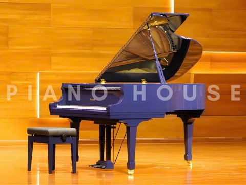 Ritmuller RS175 (Polished Blue)