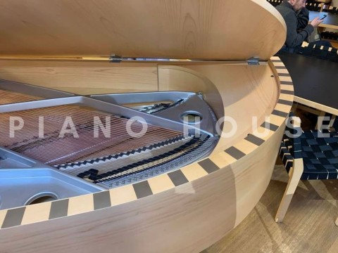 Sauter Vivace 210 (Maple)