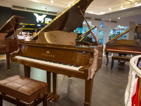 Steiner GP-152 Walnut Self-Playing