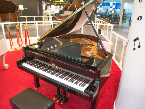 Steiner GP-186E Self-Playing