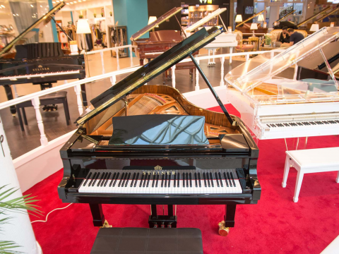 Steiner GP-231 Self-Playing