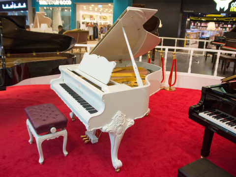 Steiner HG-168D Self-Playing