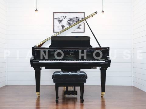 Fridolin Schimmel F156 Tradition (Ebony High Gloss)