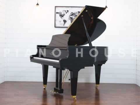 Fridolin Schimmel F156 Tradition (Ebony High Gloss)